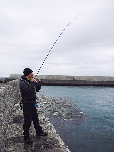 Vol 39 日本伝統の疑似餌 餌木 でアオリイカを釣る Fielder